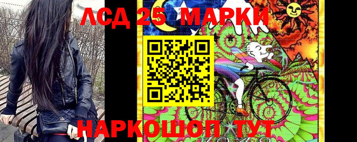 Альфа ПВП Курчалой