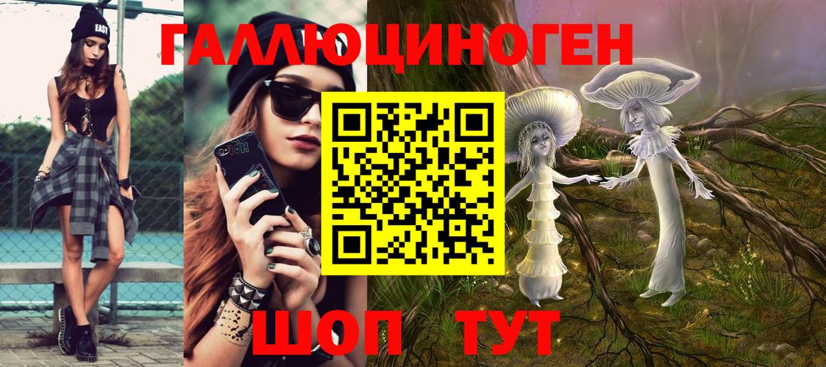 Псилоцибиновые грибы MAGIC MUSHROOMS Курчалой